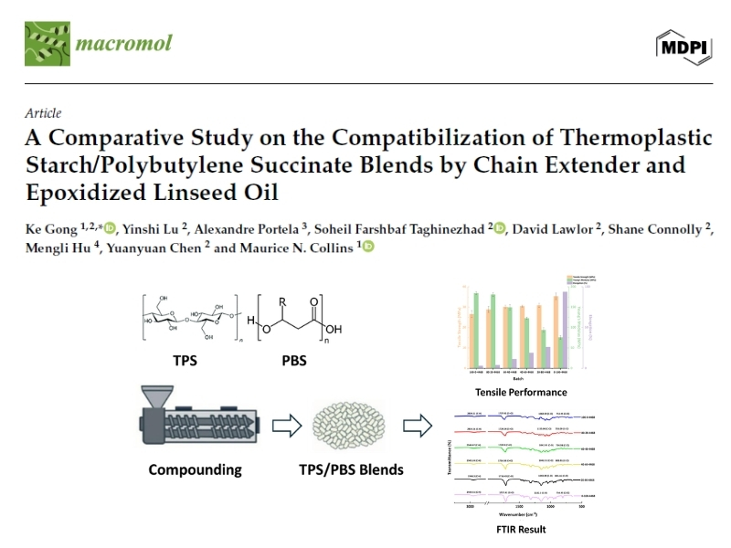 A Comparative Study on the Compatibilization of Thermoplastic Starch/Polybutylene Succinate Blends by Chain Extender and Epoxidized Linseed Oil